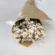 Load image into Gallery viewer, DRIED DAISY BUNCH
