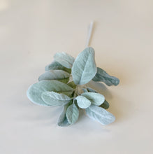 Load image into Gallery viewer, LAMBS EAR STEM
