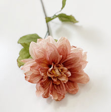 Load image into Gallery viewer, DRIED DAHLIA
