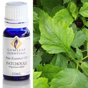 ESSENTIAL OIL