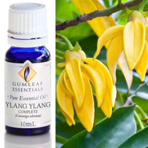 ESSENTIAL OIL