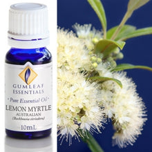 Load image into Gallery viewer, ESSENTIAL OIL
