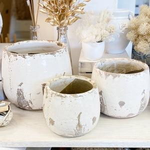 EARTH POT