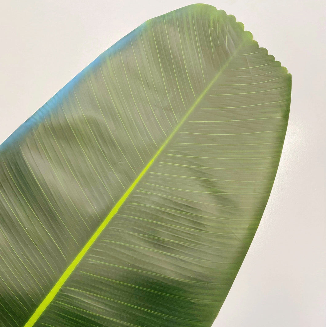 TROPICAL LEAF RUNNER