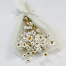 Load image into Gallery viewer, DRIED DAISY BUNCH - WHITE
