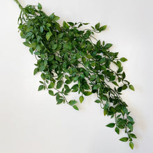 Load image into Gallery viewer, HANGING SATIN POTHOS
