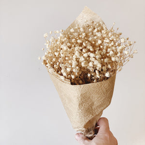 BABIES BREATH DRIED STEM - CREAM