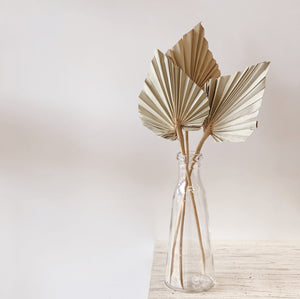 NATURAL SPEAR PALM