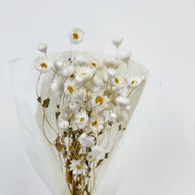 Load image into Gallery viewer, DRIED DAISY BUNCH - WHITE
