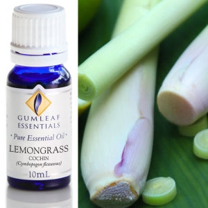 ESSENTIAL OIL