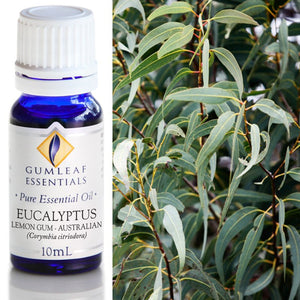 ESSENTIAL OIL