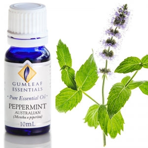 ESSENTIAL OIL