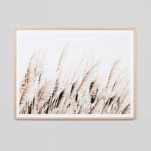 PAMPAS BREEZE PRINT