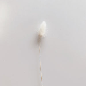 WHITE BUNNY TAILS