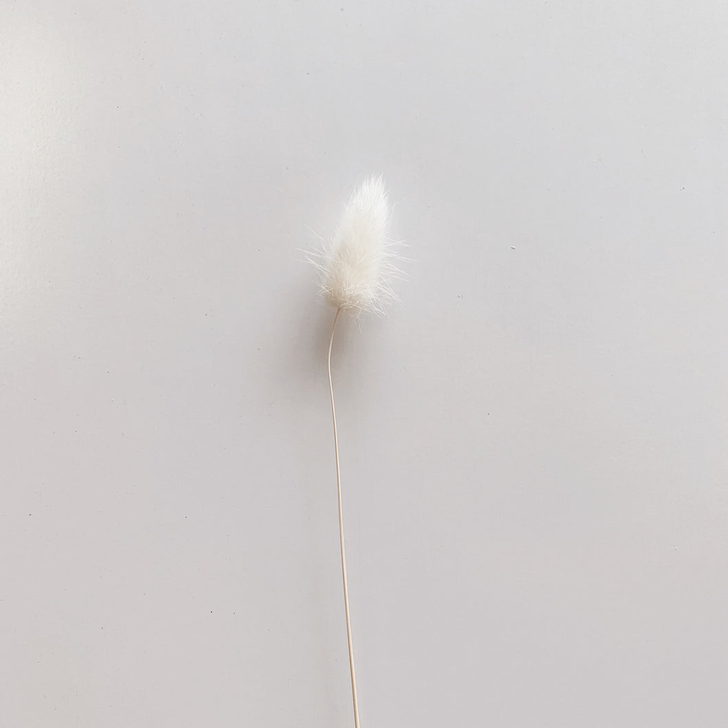 WHITE BUNNY TAILS