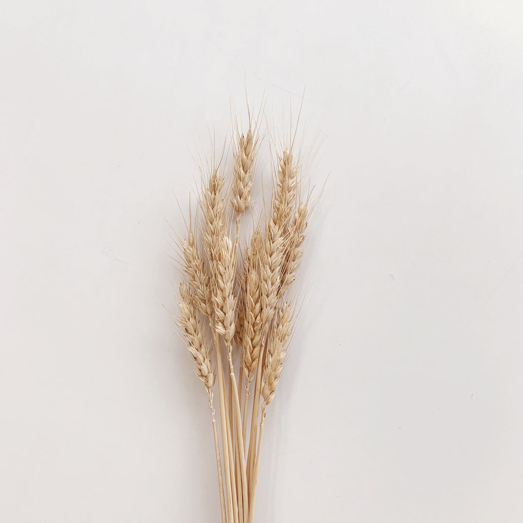 SMALL WHEAT BUNCH