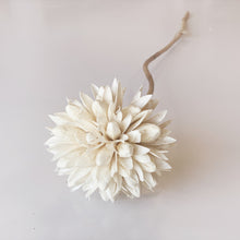 Load image into Gallery viewer, DRIED MAGNOLIA BUD
